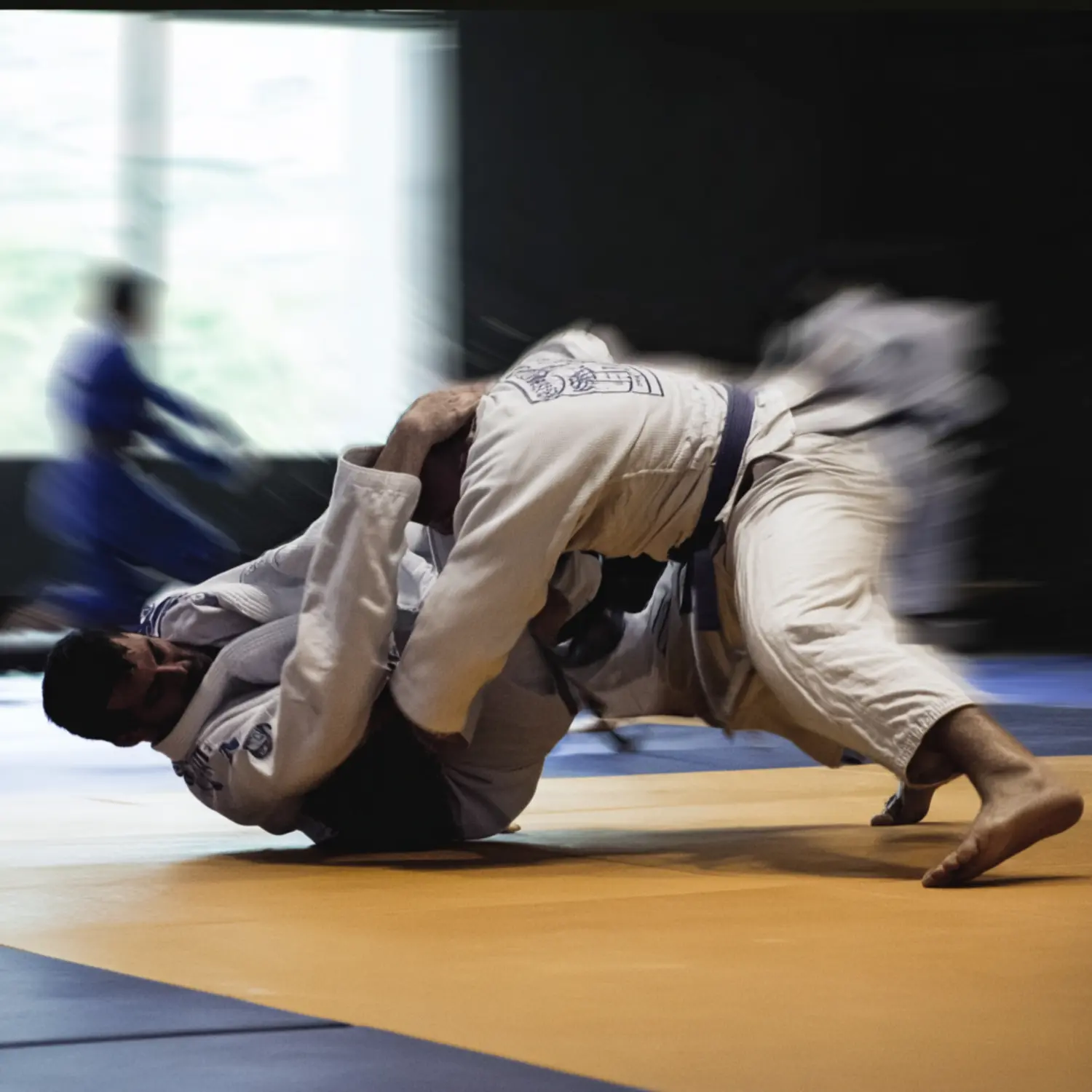 Judo Red Gym